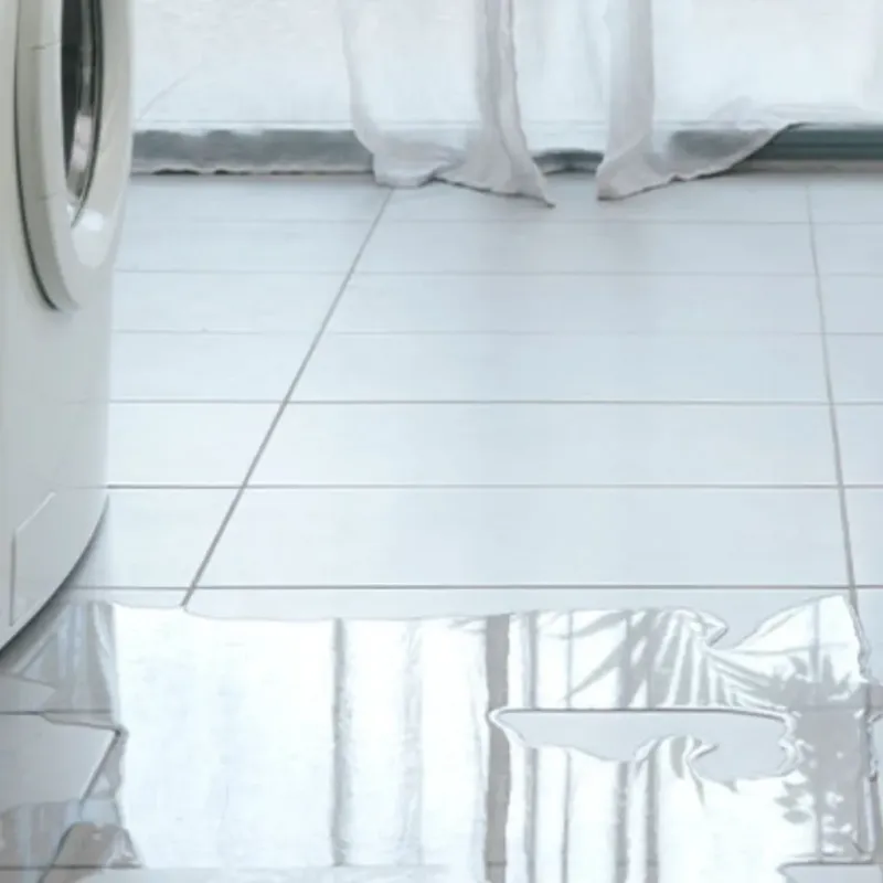 Appliance Leak Cleanup in Ponce Inlet, FL
